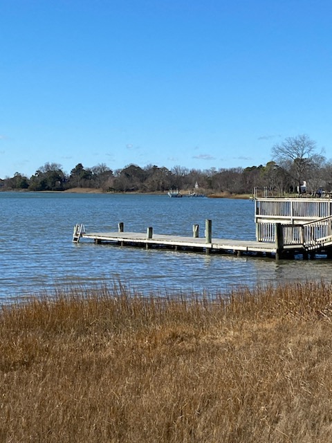 Gallery Photo 28